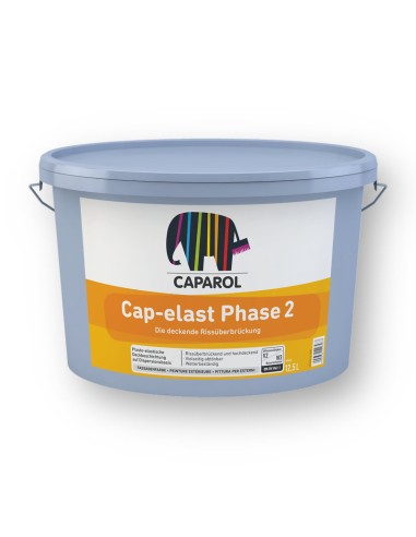 Cap Elast Phase 2